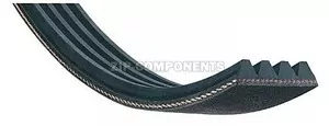 Ремень Hutchinson 1215H8 Ardo 651009071, 416003901, 416004600